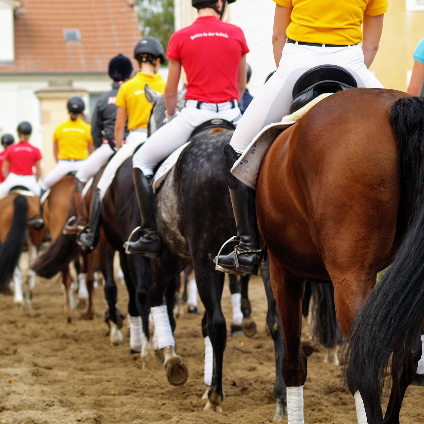 Wir laden 15 Reittalente ein!
Da der Eignungstest für den Einstieg ab Kl. 7 am 16.01. Corona-bedingt leider nicht stattf
