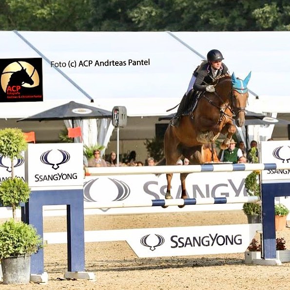 Unsere Schülerin Maren Hoffmann (12. Klasse) hat es mit ihrer Stute Goldquelle in das Finale der 7-jährigen Springpferde