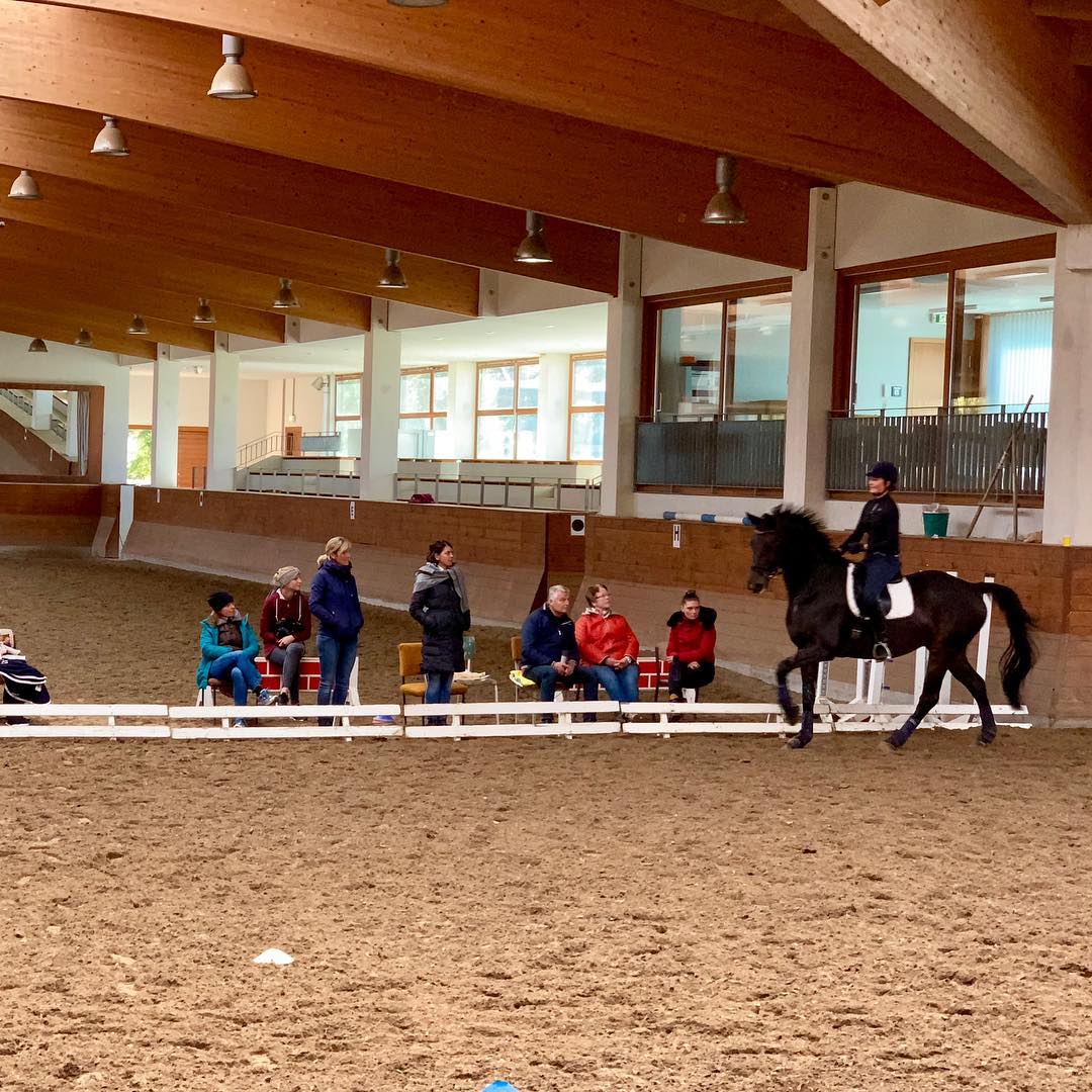 Intensiv-Wochenendtraining bei Caroline Roost. Unsere Schüler hatten während des Lehrgangs die Möglichkeit, eine individ