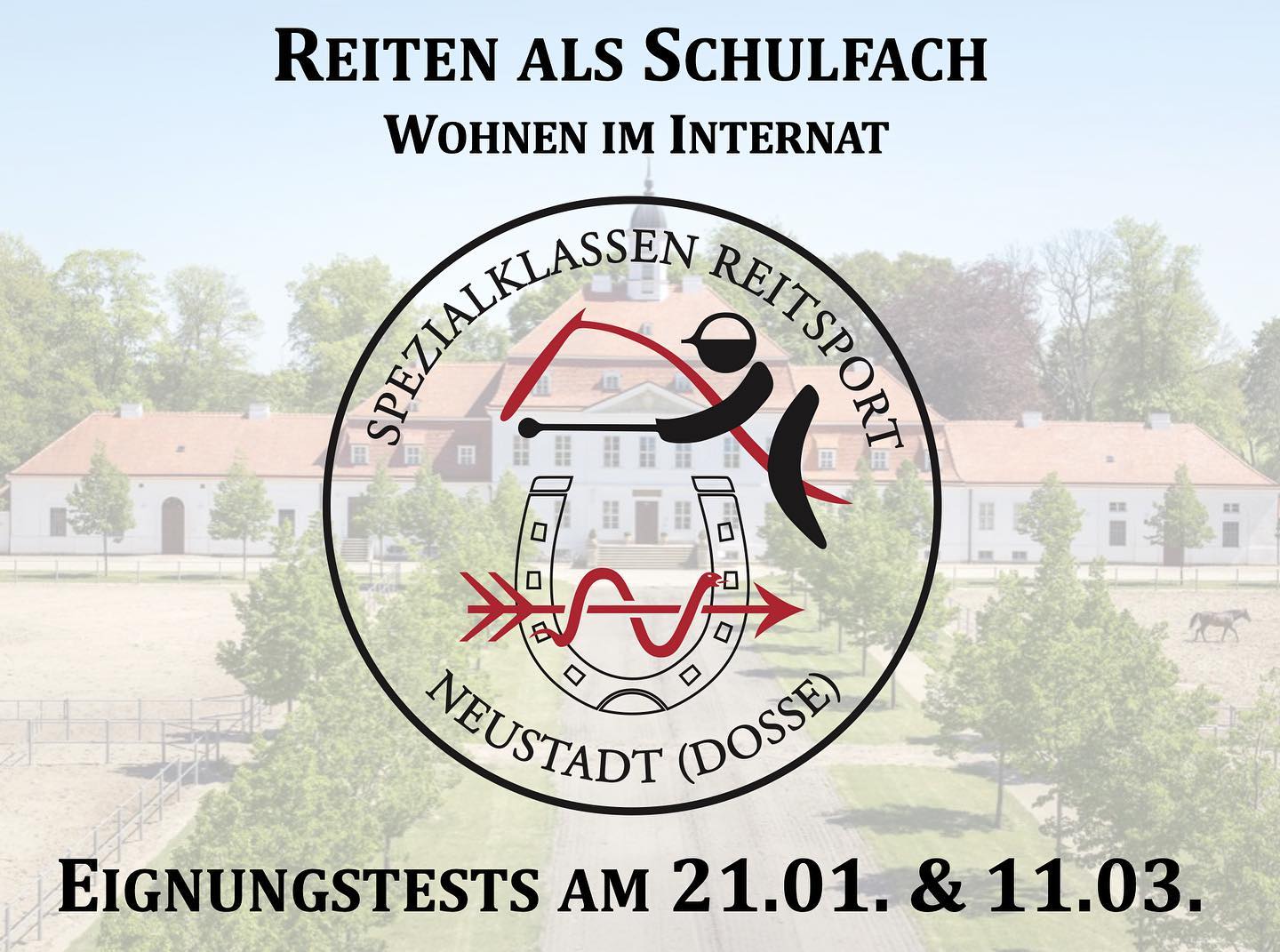 Bei uns wird dein Traum wahr: Reiten als Unterrichtsfach & Wohnen im Internat. In unseren Reitsportklassen werden besond