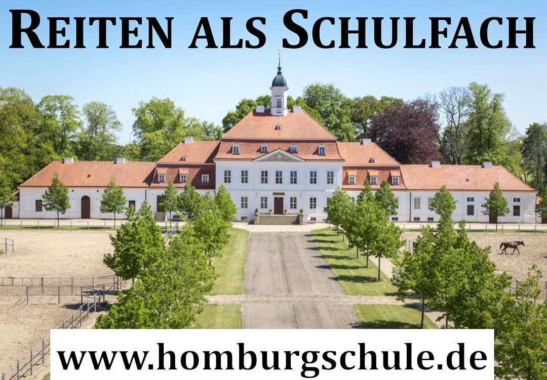 Ein Traum wird Wirklichkeit: Reiten als Unterrichtsfach. In Spezialklassen werden Schülerinnen und Schüler in der Sporta