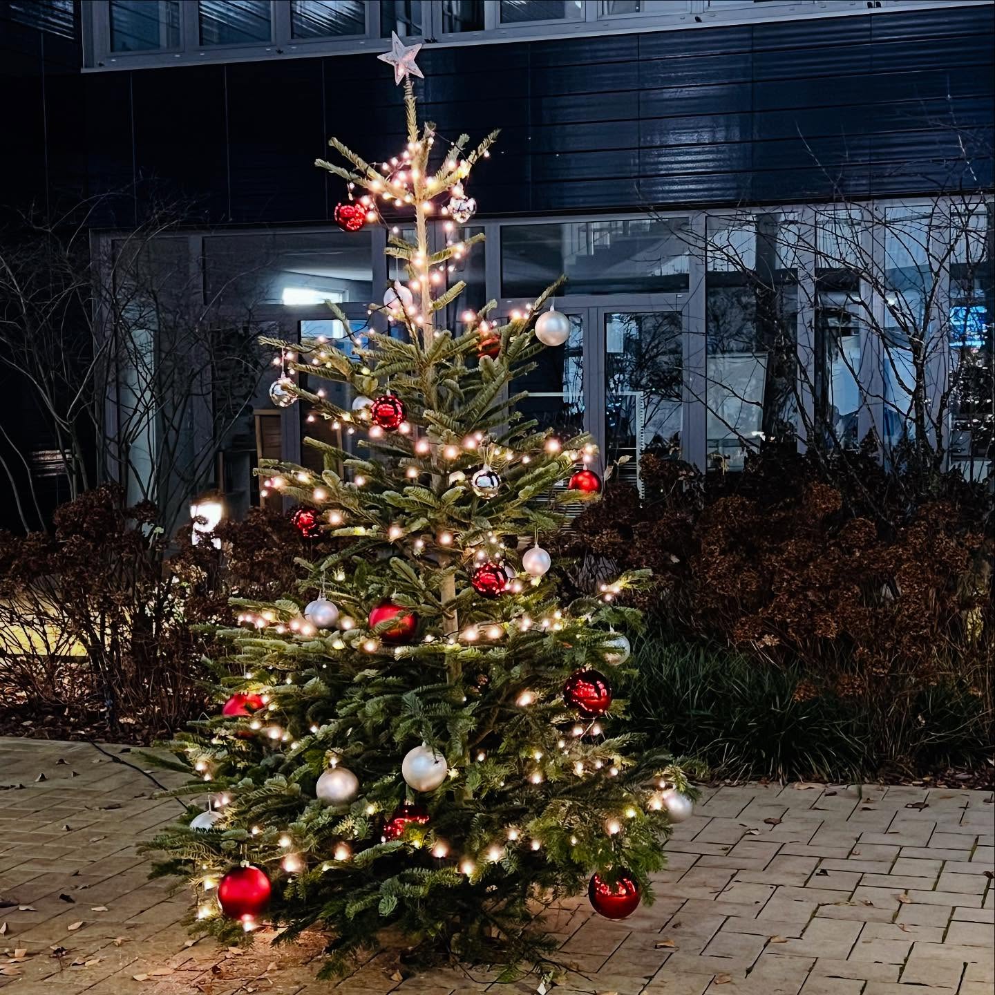 Die Prinz-von-Homburg-Schule wünscht Ihnen und Euch allen ein frohes Weihnachtsfest, erholsame Ferien und einen guten Ru