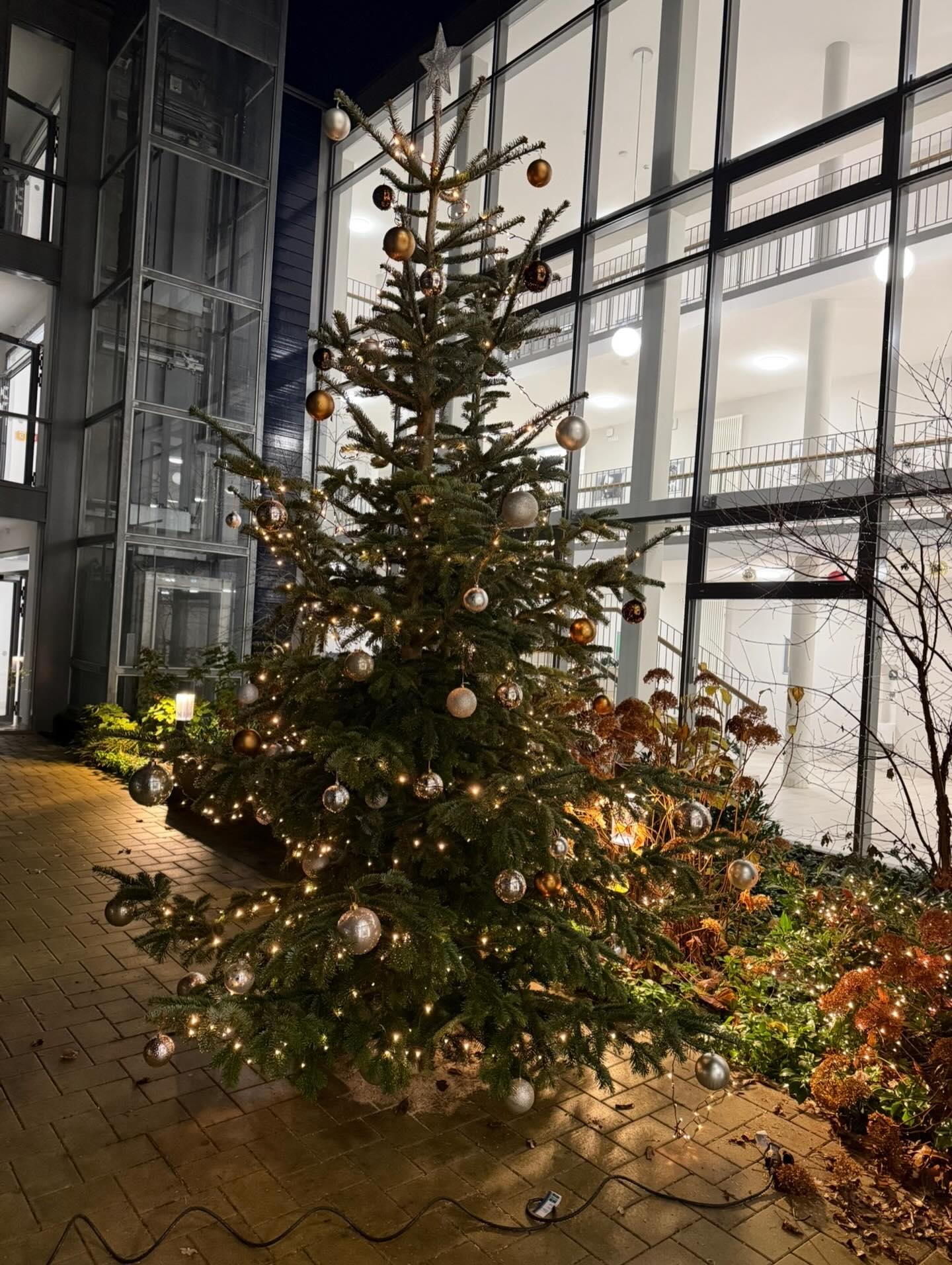✨ Weihnachtsgruß aus der Prinz-von-Homburg-Schule ✨

In der stillen Zeit des Jahres wünschen wir unserer Schulgemeinscha
